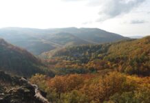 Mátra szállás – 11 erdei szállás Mátra szívében